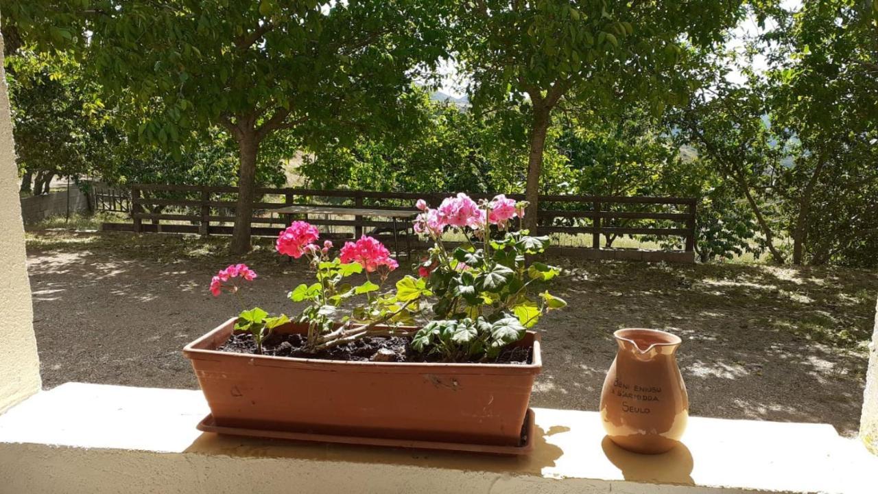 Agriturismo S'Armidda Seùlo Buitenkant foto