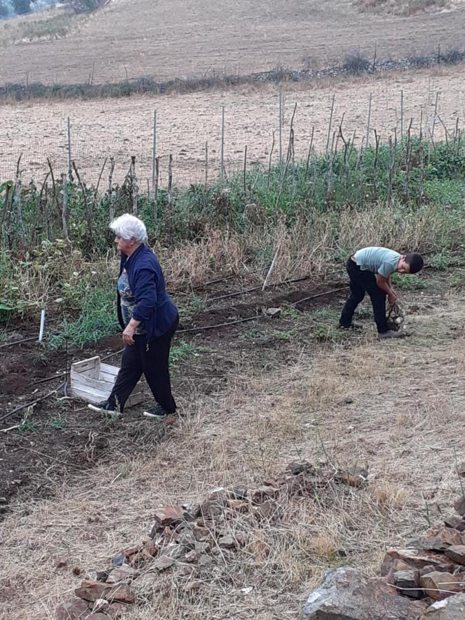 Agriturismo S'Armidda Seùlo Buitenkant foto