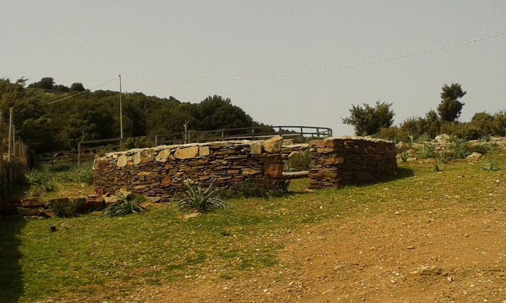 Agriturismo S'Armidda Seùlo Buitenkant foto